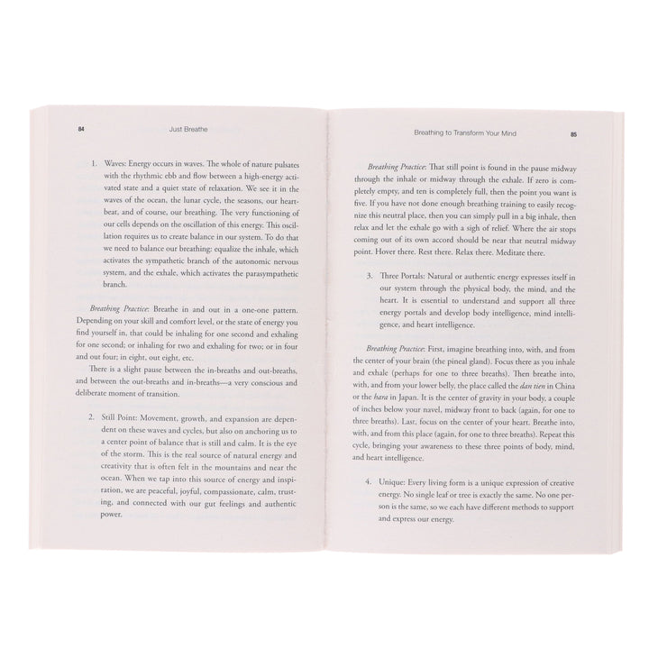 Just Breathe: Mastering Breathwork by Dan Brule - Non Fiction - Paperback