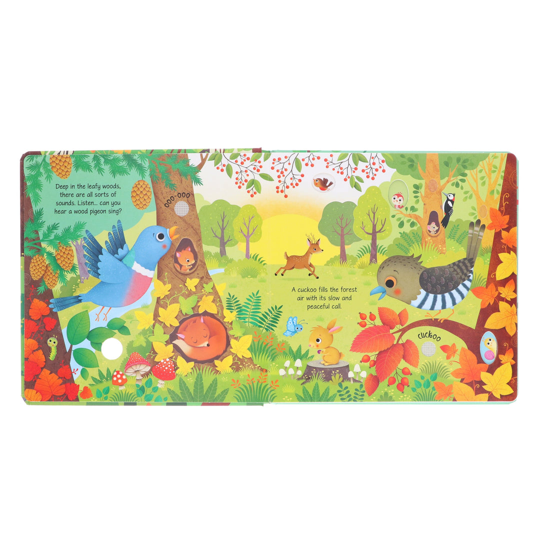 Usborne Sound Books by Sam Taplin 4 Books Collection Set - Ages 0-5 - Board Book