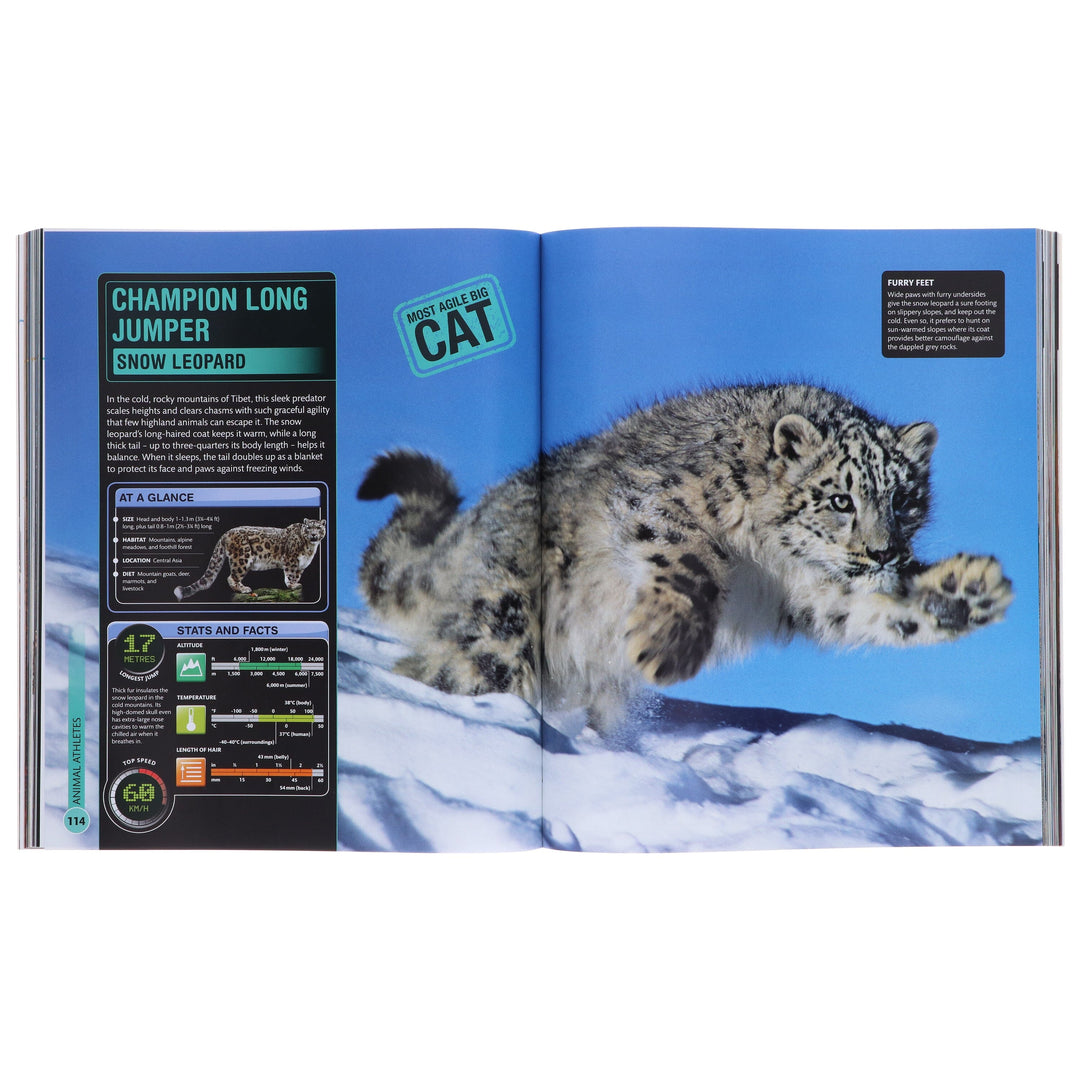 The Super Encyclopedia Collection By DK (Nature, Earth & Dinosaur) 3 Books Collection Set - Ages 9-12 - Paperback