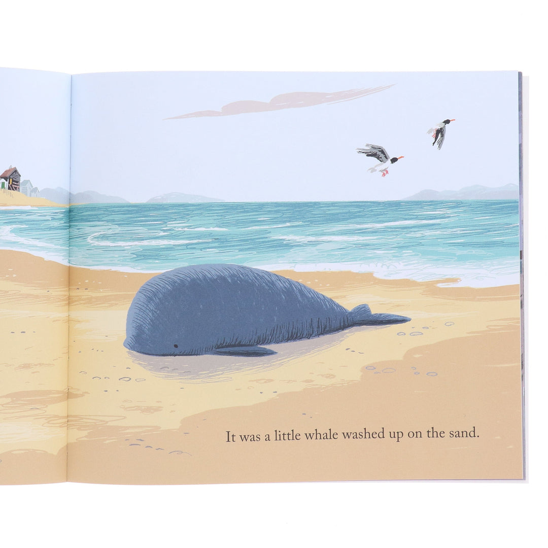 Storm Whale Series By Benji Davies 4 Books Collection Set - Ages 2-5 - Paperback