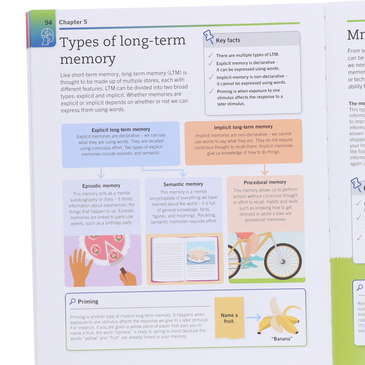 Super Simple Psychology: The Ultimate Bitesize Study Guide For A Level - Non Fiction - Paperback