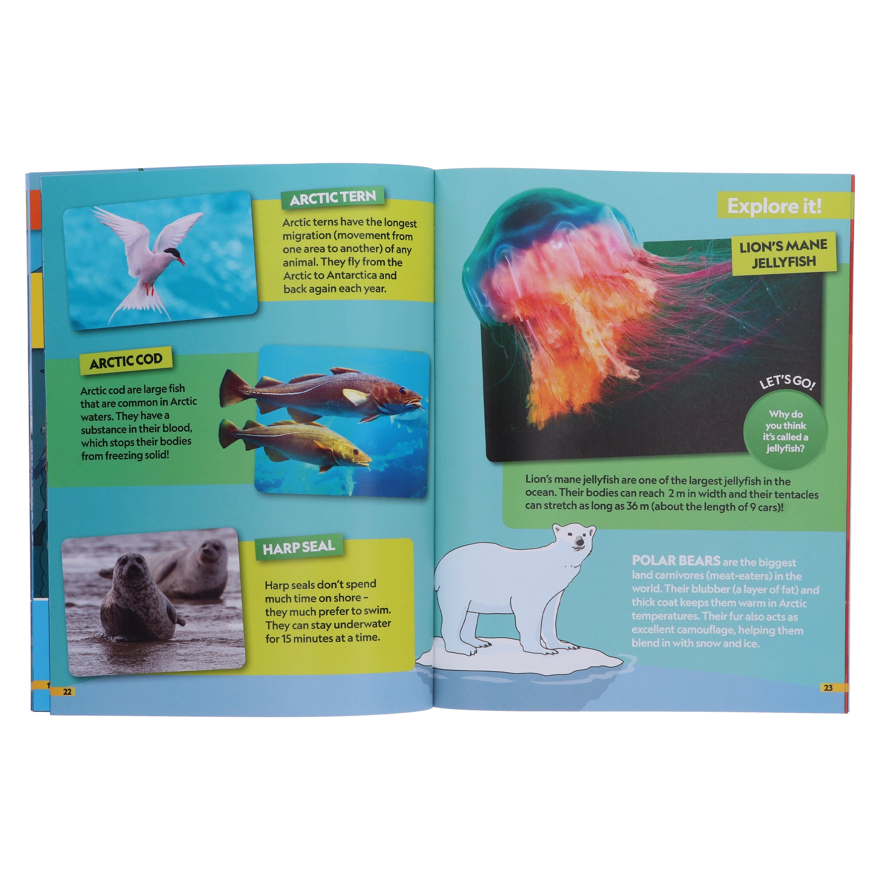 Find it! Explore it! By National Geographic Kids – American Bookworm