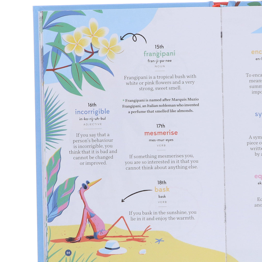 A Word a Day: 365 Words for Curious Minds by Collins Kids - Ages 7+ - Hardback