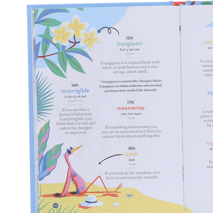 A Word a Day: 365 Words for Curious Minds by Collins Kids - Ages 7+ - Hardback
