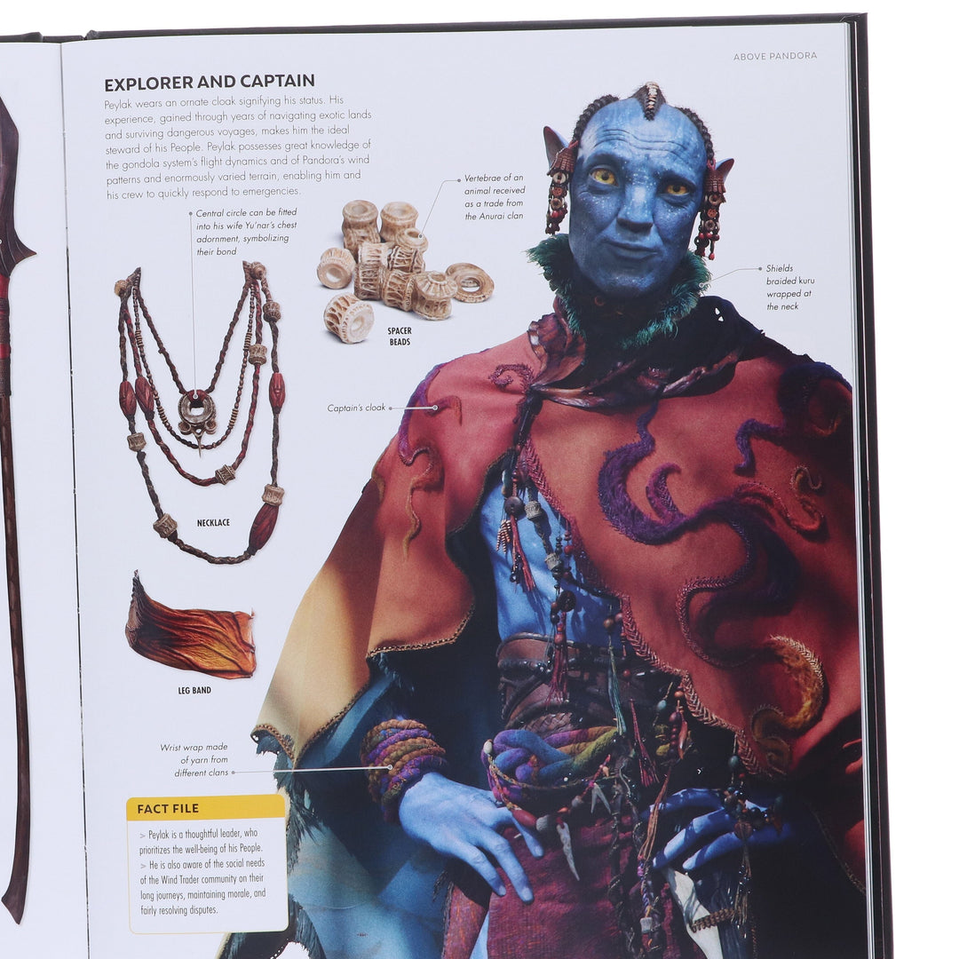 Avatar Fire and Ash: The Visual Dictionary by Reymundo Perez - Fiction - Hardback
