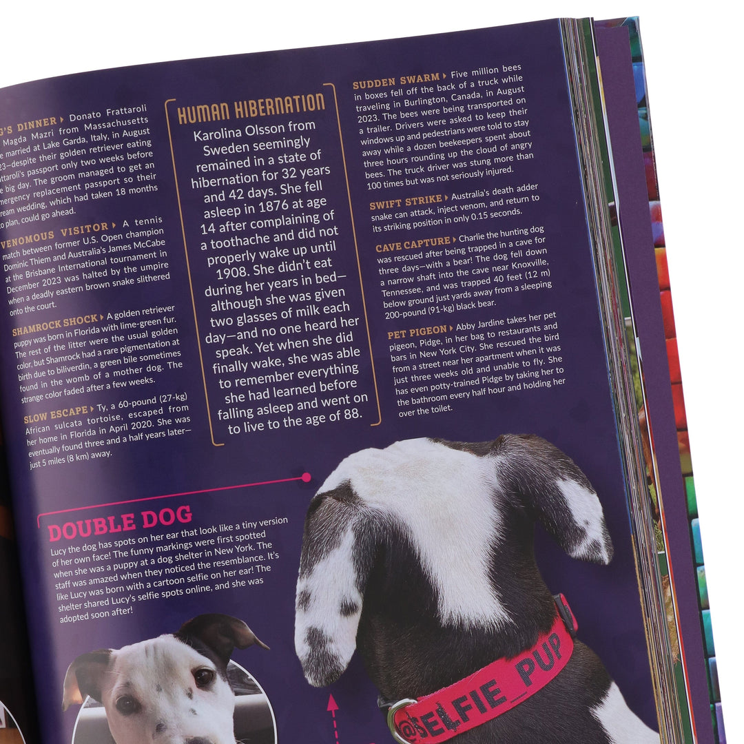 Ripley’s Believe It or Not! 2026: The Ultimate Fact-Filled Annual - Non Fiction - Hardback