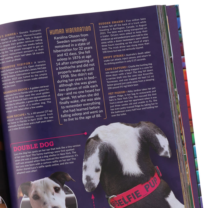 Ripley’s Believe It or Not! 2026: The Ultimate Fact-Filled Annual - Non Fiction - Hardback