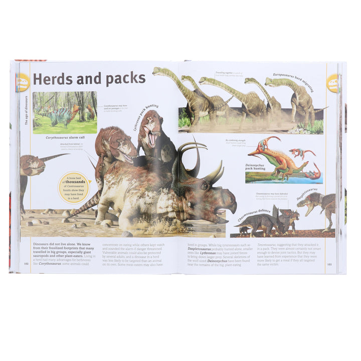 Our World in Pictures: The Dinosaurs Book by DK - Ages 9-12 - Hardback