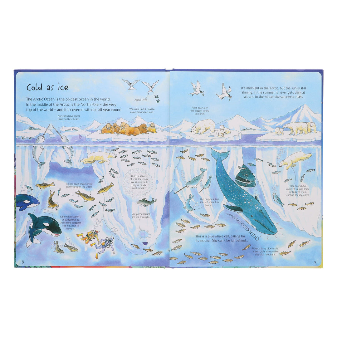 See Inside: See Under the Sea (An Usborne Flap Book) By Kate Davies - Ages 6-9 - Board Book 7-9 Usborne Publishing Ltd