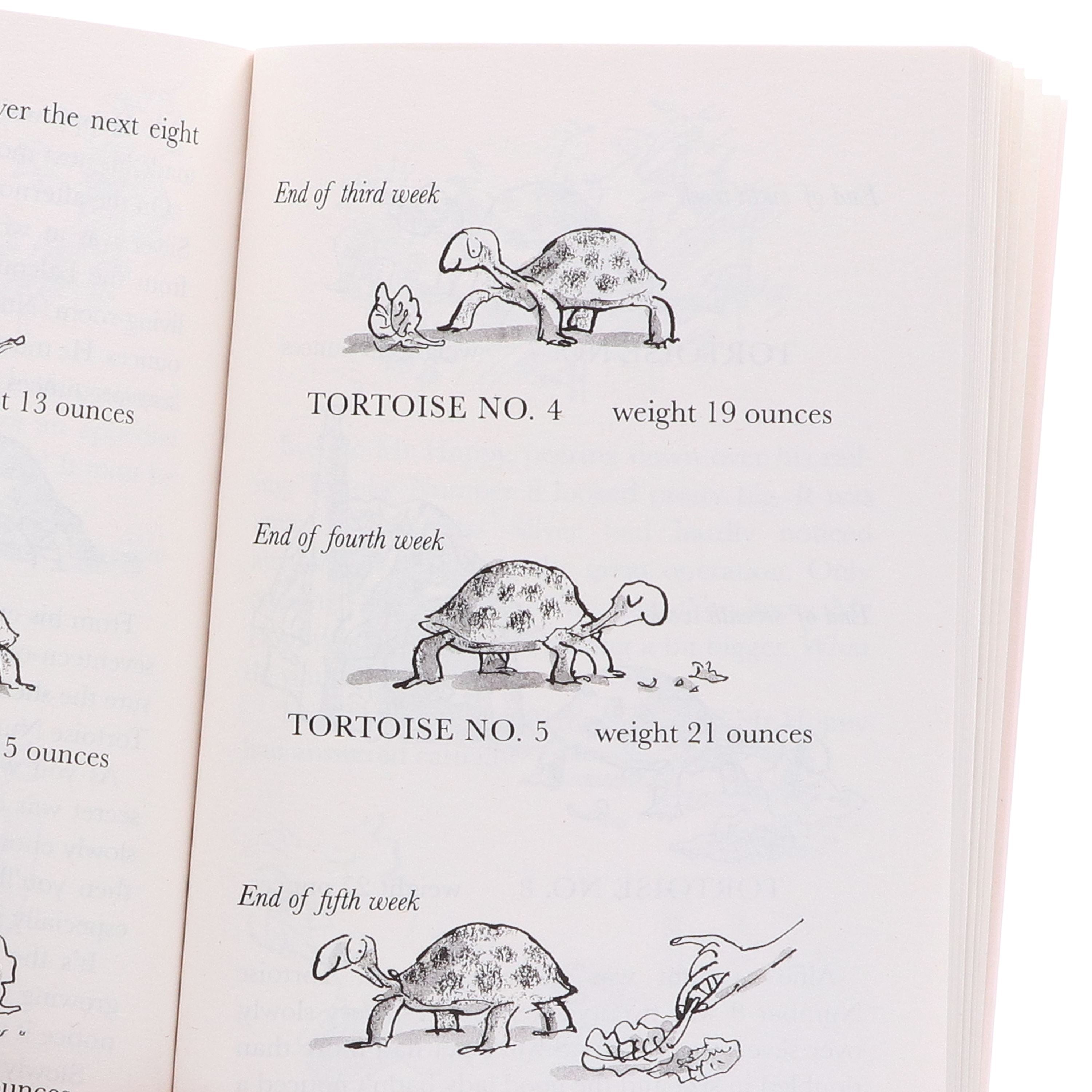 Roald Dahl Collection 16 Books – American Bookworm
