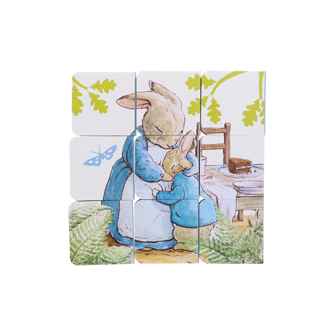 Peter Rabbit: A Big Box of Little Books By Beatrix Potter - Ages 0-3 - Board Book