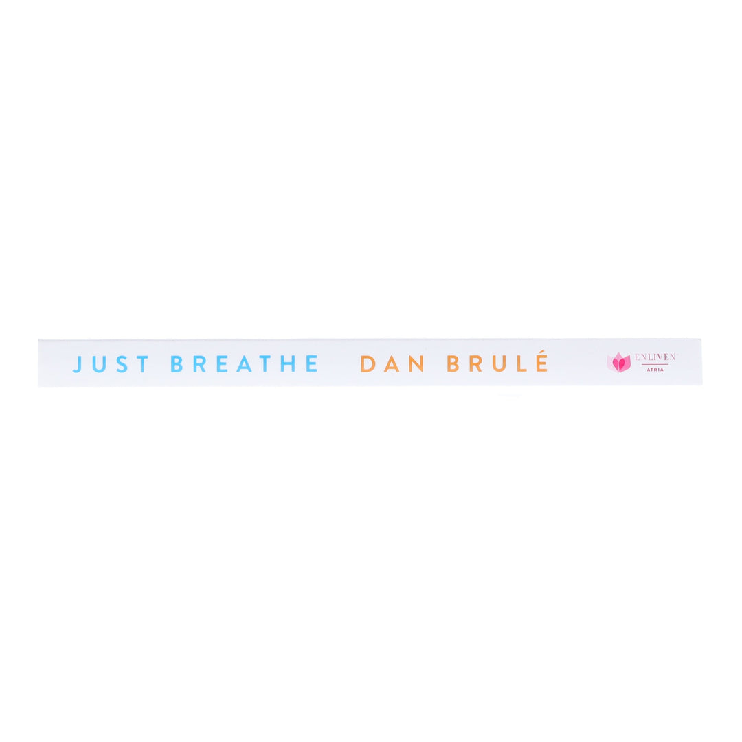 Just Breathe: Mastering Breathwork by Dan Brule - Non Fiction - Paperback