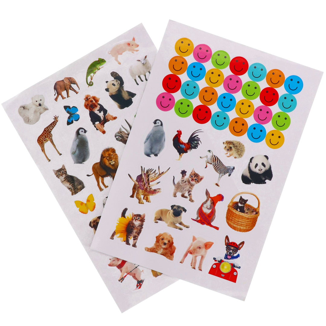 Amazing Animals By Make Believe Ideas 10 Readers Box Set - Ages 4+ - Paperback