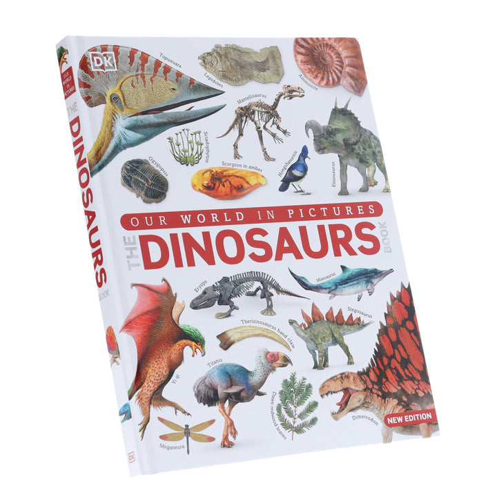 Our World in Pictures: The Dinosaurs Book by DK - Ages 9-12 - Hardback