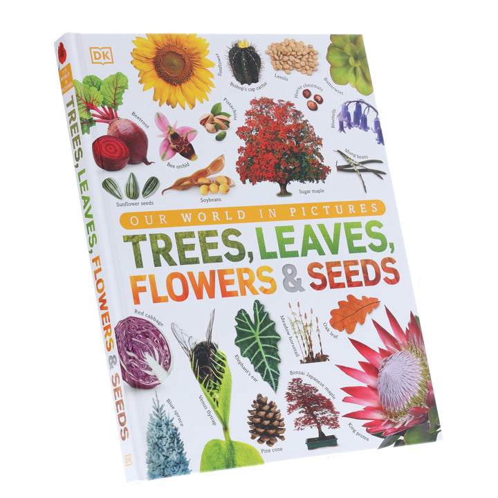 Our World in Pictures: Trees, Leaves, Flowers & Seeds: A visual encyclopedia of the plant kingdom by DK - Non Fiction - Hardback
